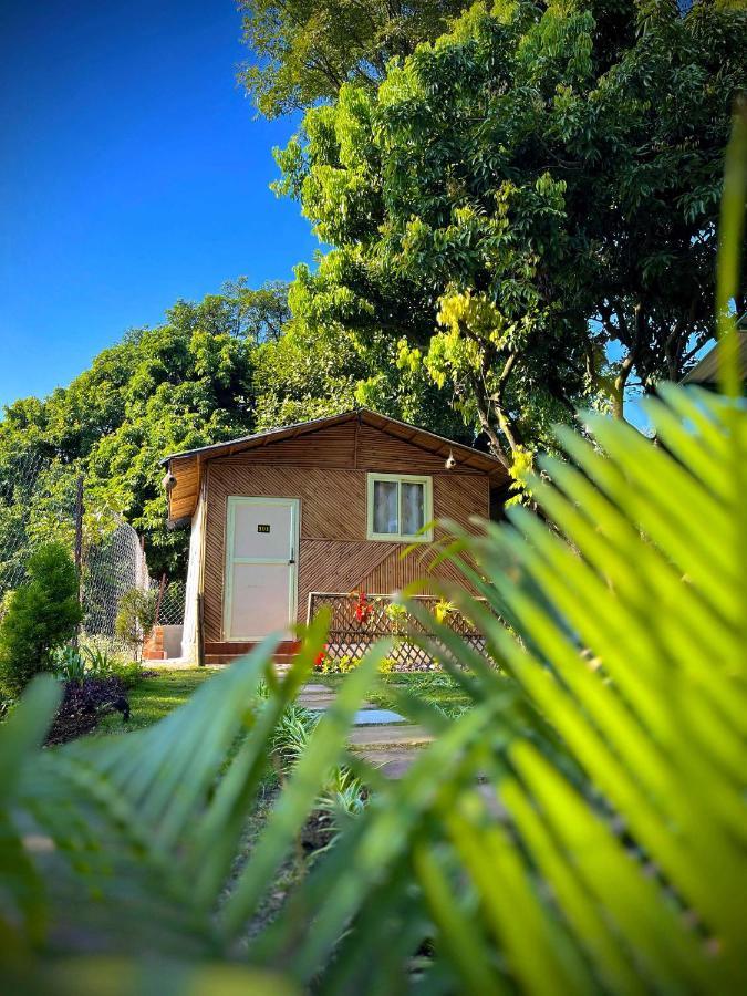 Hotel O Royal Tree Cafe And Resort Dehradun Luaran gambar