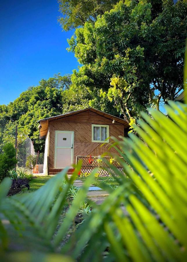 Hotel O Royal Tree Cafe And Resort Dehradun Luaran gambar